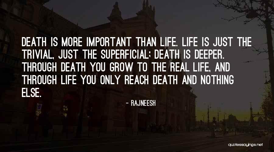 Sanguineo Significado Quotes By Rajneesh Sanguineo Significado Quotes By Rajneesh
