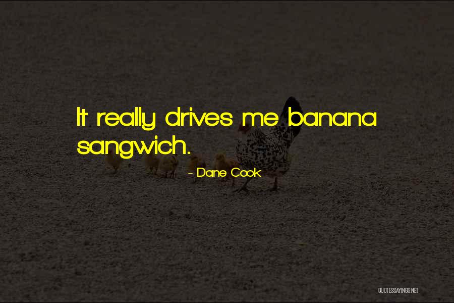 Sangwich Quotes By Dane Cook