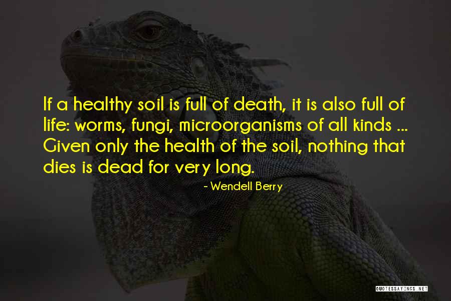 Sanheshp Quotes By Wendell Berry