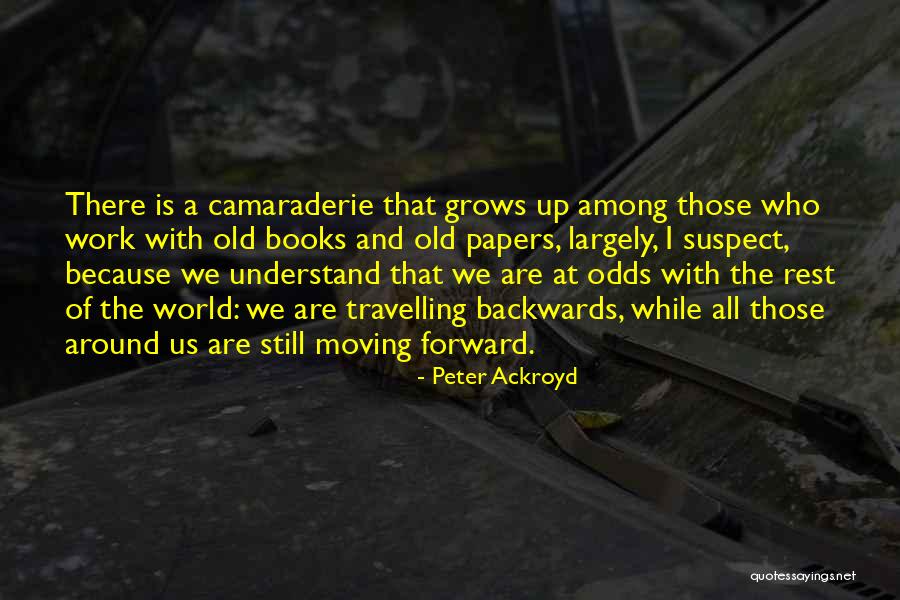 Sanitarium Game Quotes By Peter Ackroyd Sanitarium Game Quotes By Peter Ackroyd