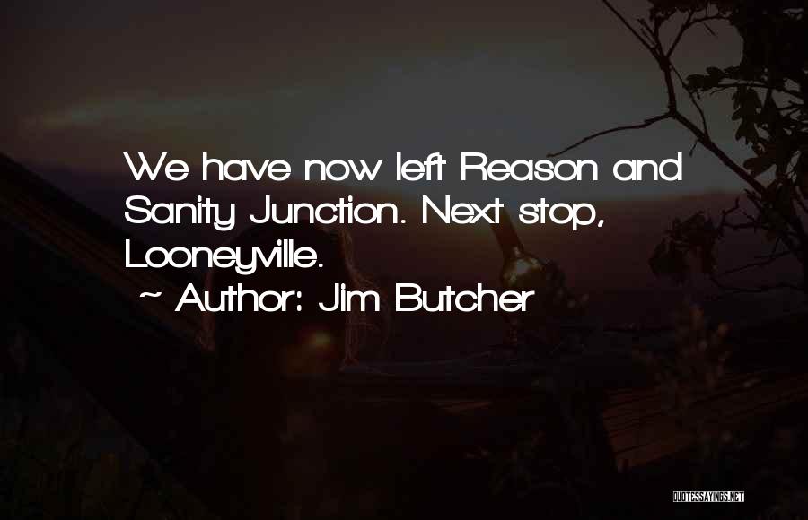 Sanity And Insanity Quotes By Jim Butcher