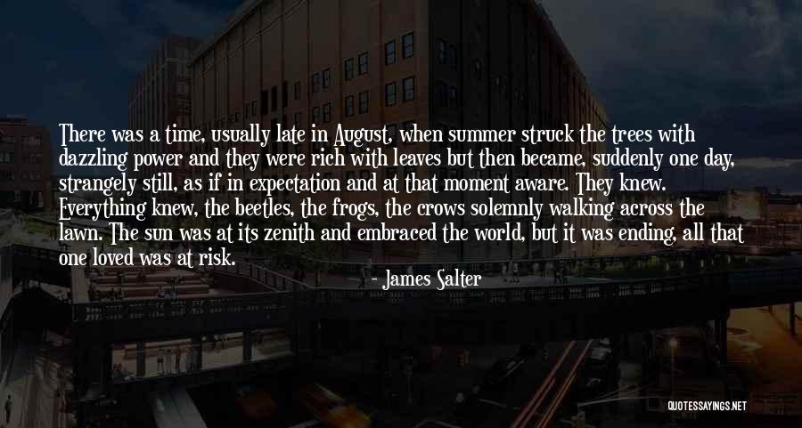 Sanne Group Quotes By James Salter