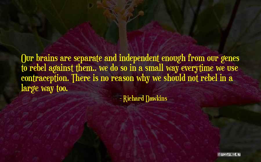 Sannicolau Quotes By Richard Dawkins Sannicolau Quotes By Richard Dawkins