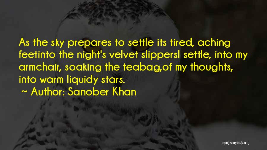 Sanober Khan Quotes 1904469