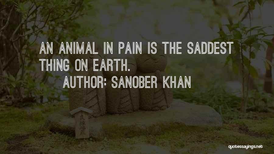 Sanober Khan Quotes 875976