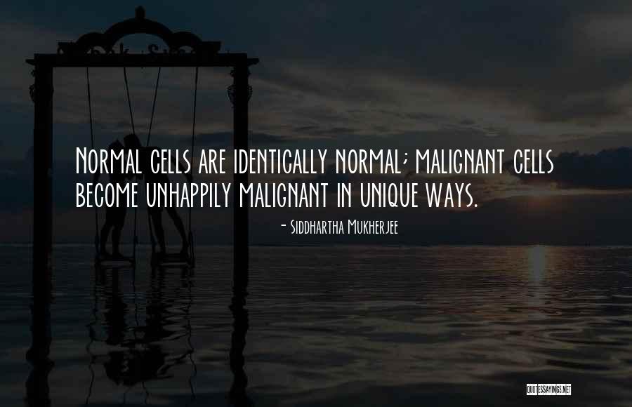 Sanoussi Toure Quotes By Siddhartha Mukherjee Sanoussi Toure Quotes By Siddhartha Mukherjee