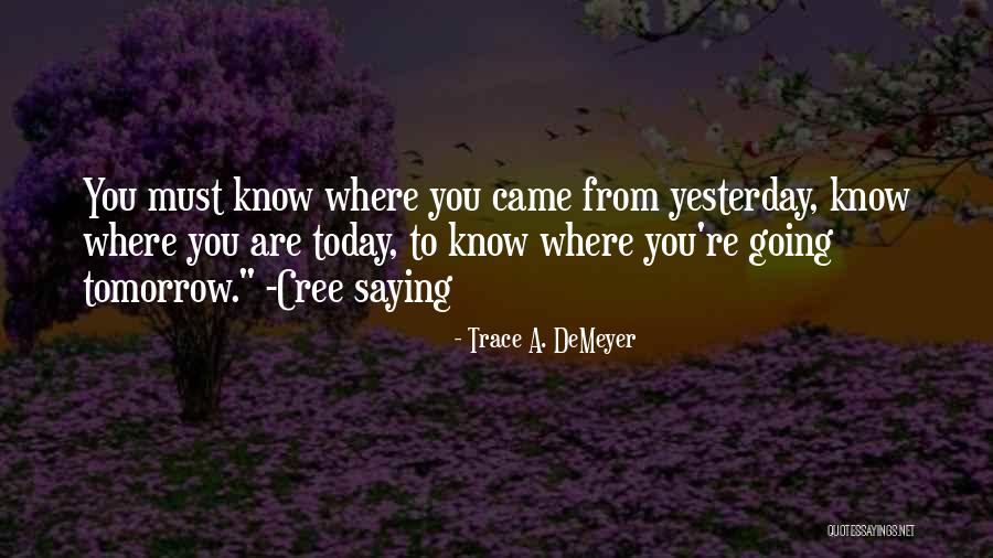 Sanschagrin Marc Quotes By Trace A. DeMeyer Sanschagrin Marc Quotes By Trace A. DeMeyer