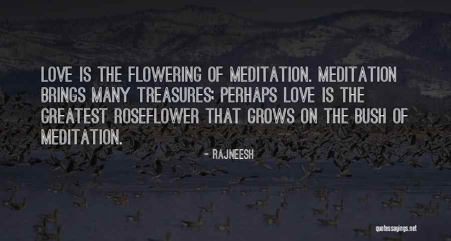 Sansevere J Quotes By Rajneesh Sansevere J Quotes By Rajneesh