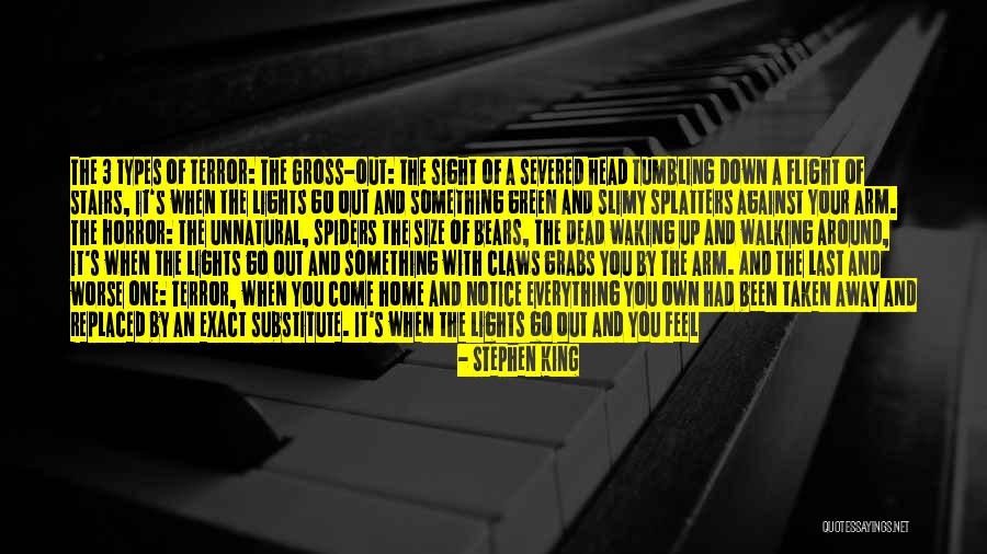 Sansone Hyundai Quotes By Stephen King