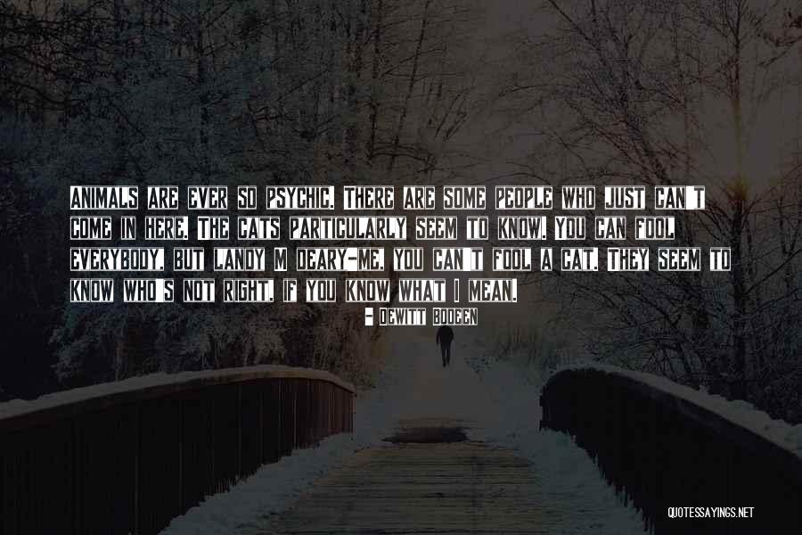 Sansota Quotes By Dewitt Bodeen Sansota Quotes By Dewitt Bodeen