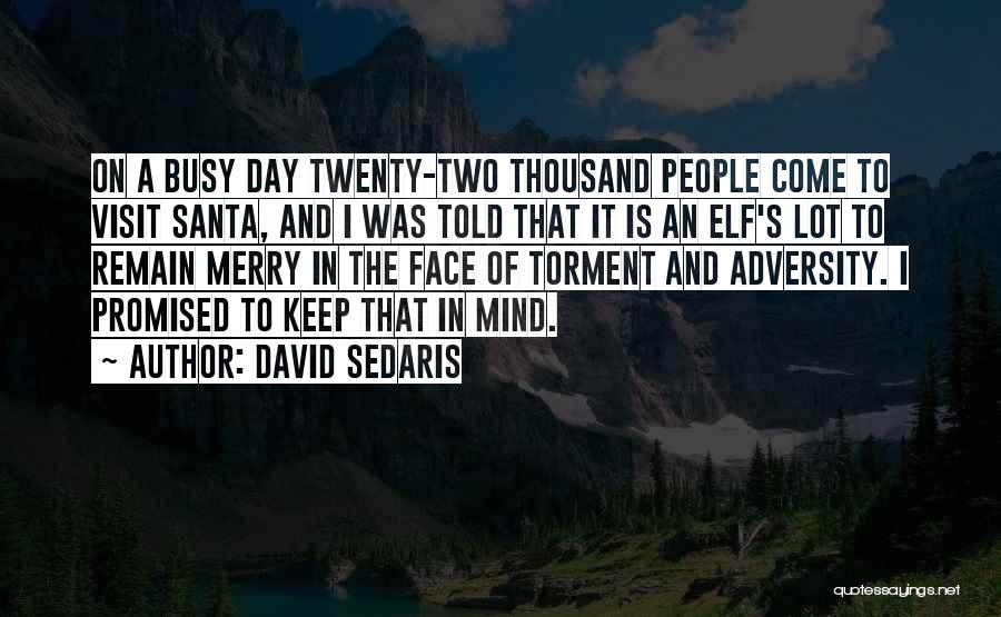 Santa Elf Quotes By David Sedaris