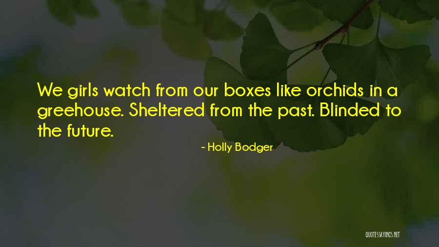 Santa Olayan Quotes By Holly Bodger Santa Olayan Quotes By Holly Bodger