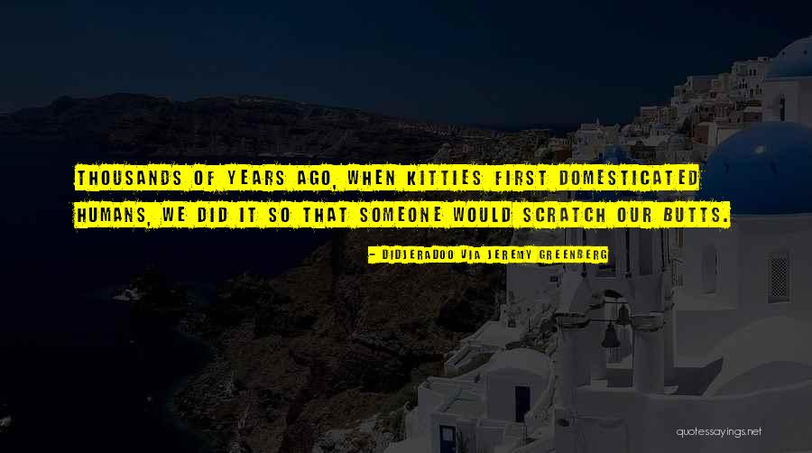 Santalla De Oscos Quotes By Didjeradoo Via Jeremy Greenberg Santalla De Oscos Quotes By Didjeradoo Via Jeremy Greenberg