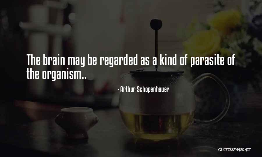 Santara Motorhome Quotes By Arthur Schopenhauer Santara Motorhome Quotes By Arthur Schopenhauer