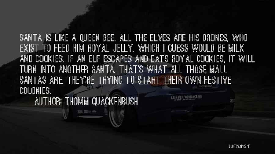 Santa's Elf Quotes By Thomm Quackenbush