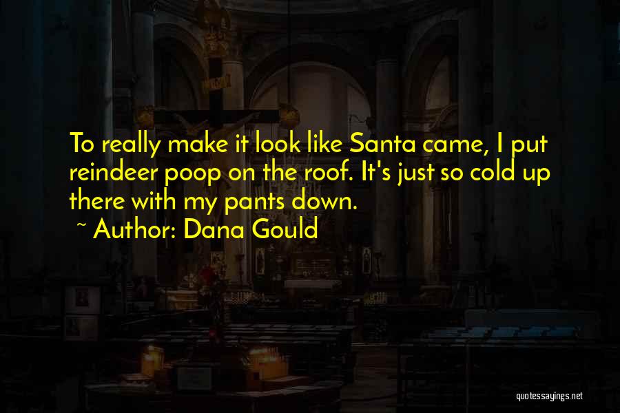 Santa's Reindeer Quotes By Dana Gould