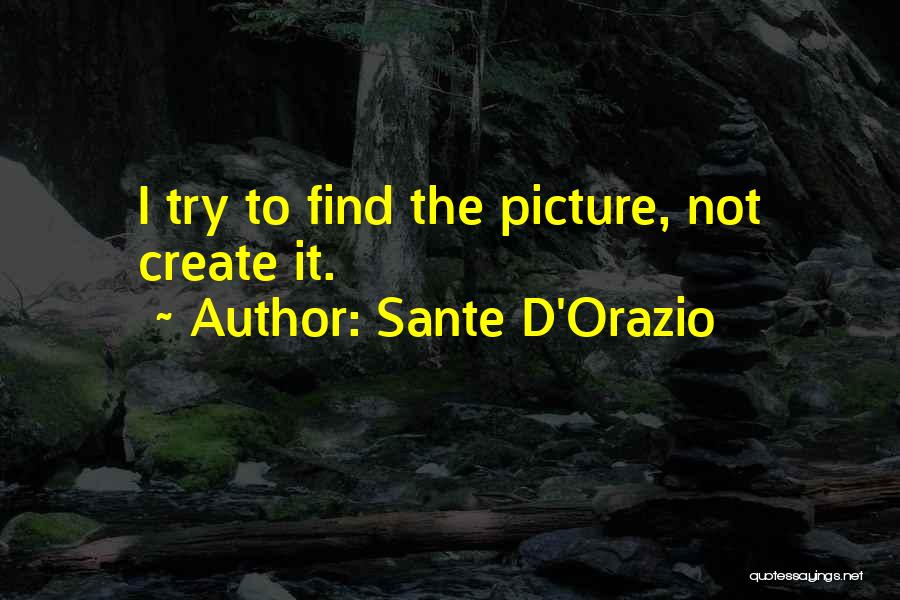 Sante D'Orazio Quotes 1214035