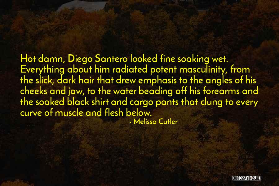 Santero Quotes By Melissa Cutler Santero Quotes By Melissa Cutler