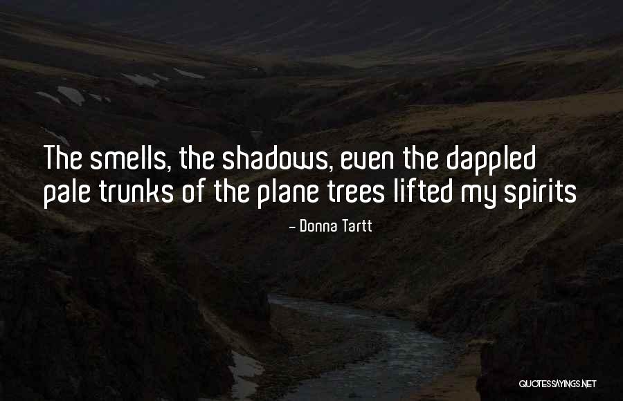 Santhosh Narayanan Quotes By Donna Tartt Santhosh Narayanan Quotes By Donna Tartt