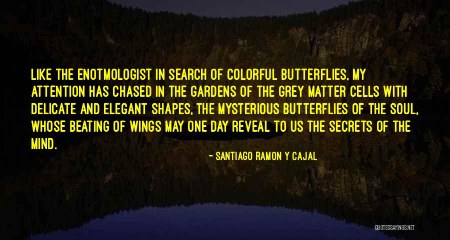 Santiago Ramon Quotes By Santiago Ramon Y Cajal Santiago Ramon Quotes By Santiago Ramon Y Cajal