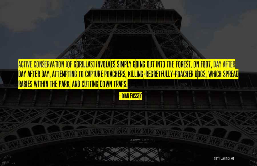 Santiana Song Quotes By Dian Fossey Santiana Song Quotes By Dian Fossey
