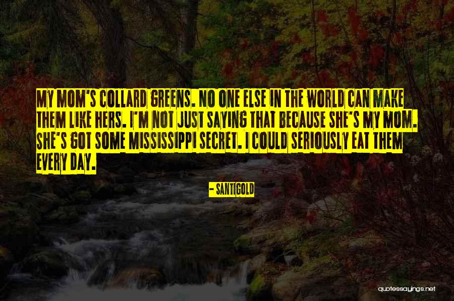 Santigold Quotes 1679077 Santigold Quotes 1679077