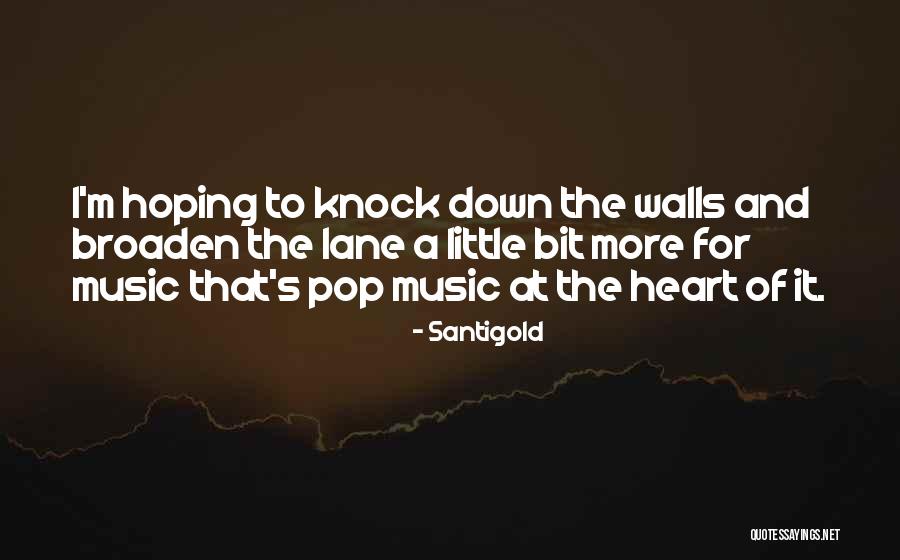 Santigold Quotes 776070