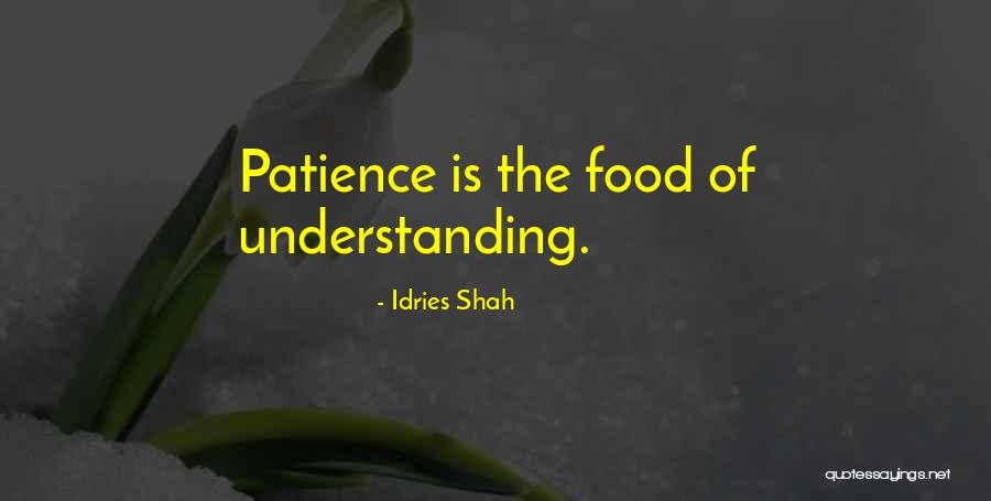 Santilli Dentistry Quotes By Idries Shah Santilli Dentistry Quotes By Idries Shah