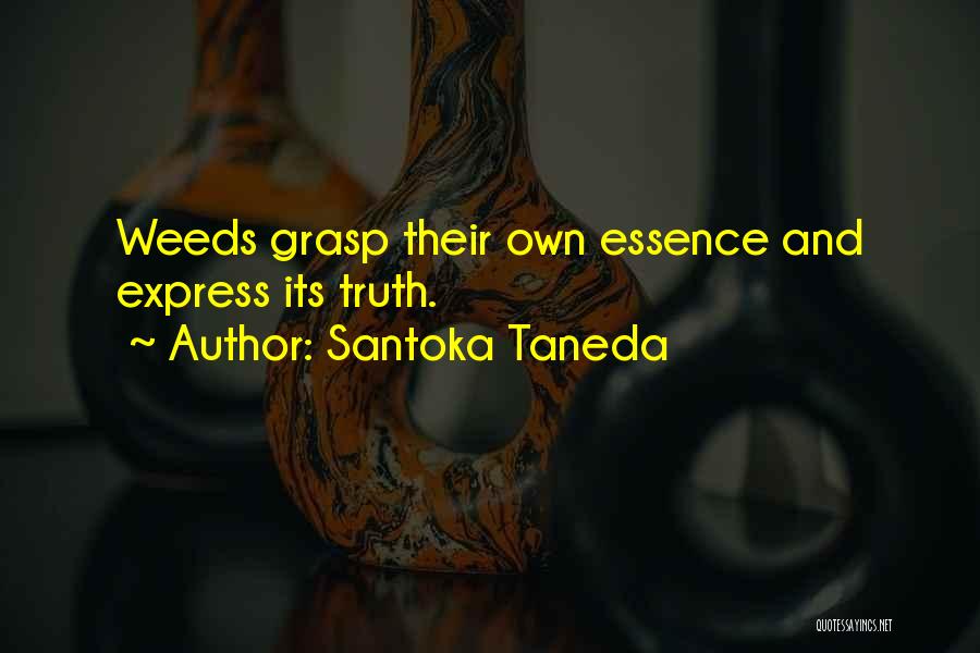 Santoka Taneda Quotes 730168