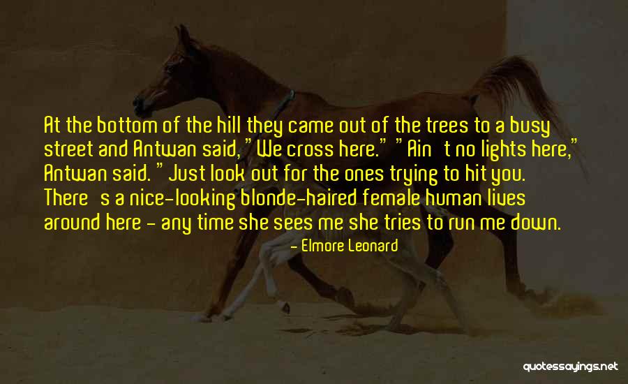 Santonellos Hair Quotes By Elmore Leonard Santonellos Hair Quotes By Elmore Leonard