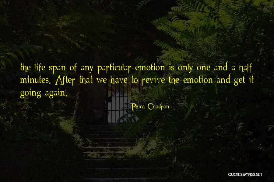 Santore And Associates Quotes By Pema Chodron Santore And Associates Quotes By Pema Chodron