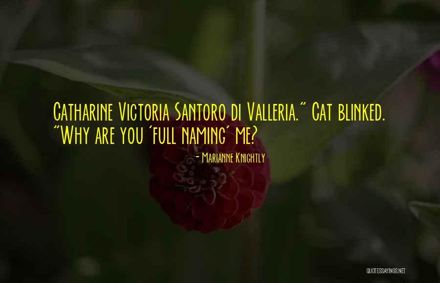 Santoro Quotes By Marianne Knightly Santoro Quotes By Marianne Knightly