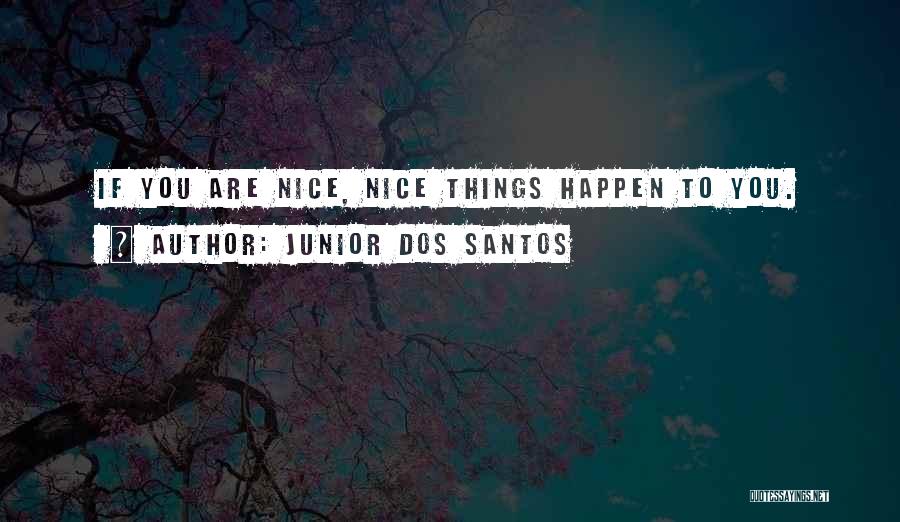 Santos Quotes By Junior Dos Santos