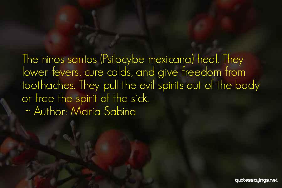 Santos Quotes By Maria Sabina