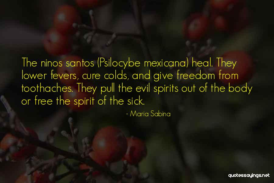 Santos Quotes By Maria Sabina