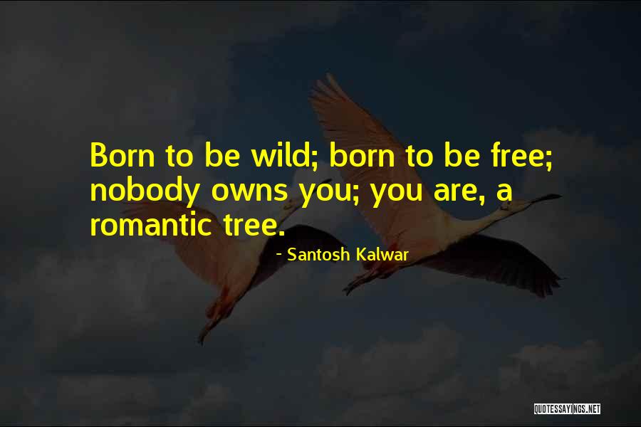 Santosh Kalwar Quotes 2215552