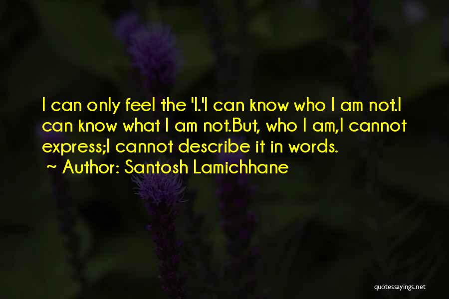 Santosh Lamichhane Quotes 299225