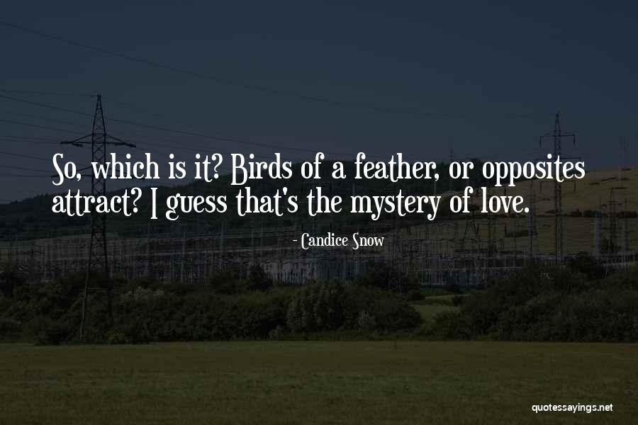 Santschi Rachel Quotes By Candice Snow Santschi Rachel Quotes By Candice Snow