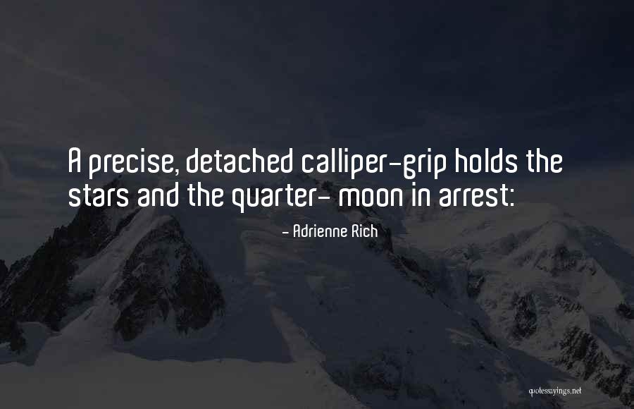 Santucci Square Quotes By Adrienne Rich Santucci Square Quotes By Adrienne Rich