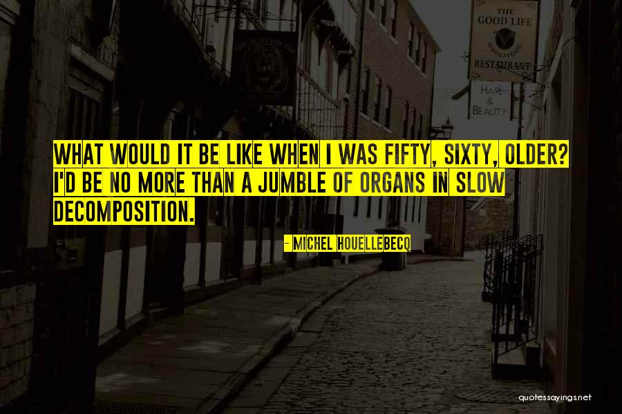 Sanusi Junid Quotes By Michel Houellebecq Sanusi Junid Quotes By Michel Houellebecq