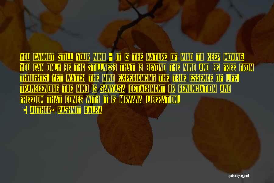 Sanyasa Quotes By Rashmit Kalra