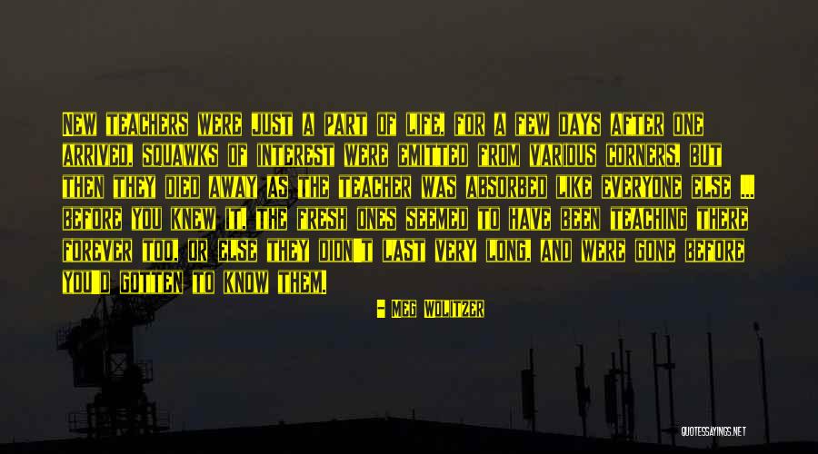 Sanyogita Devi Quotes By Meg Wolitzer Sanyogita Devi Quotes By Meg Wolitzer