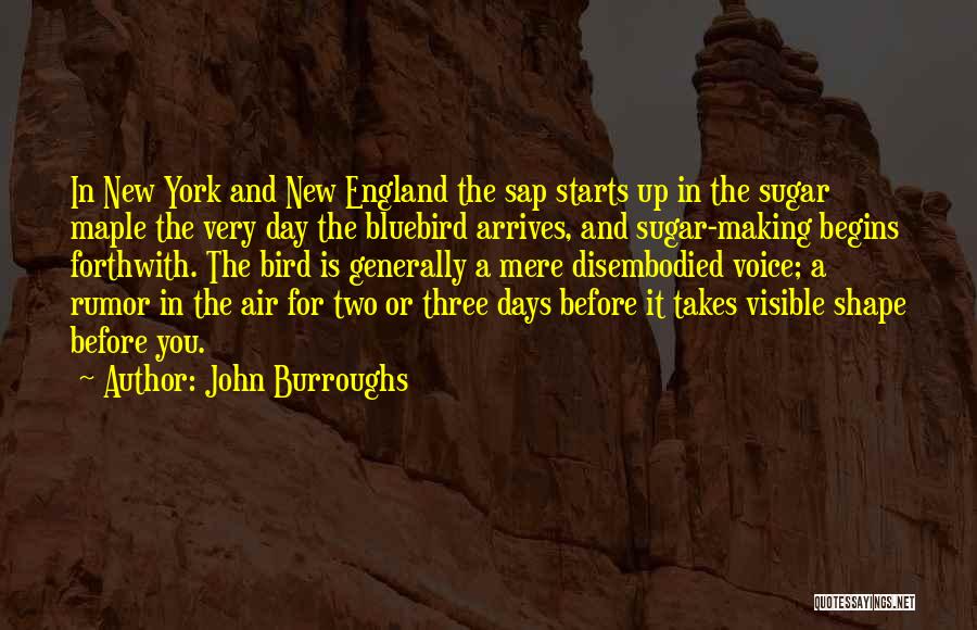 Sap Quotes By John Burroughs