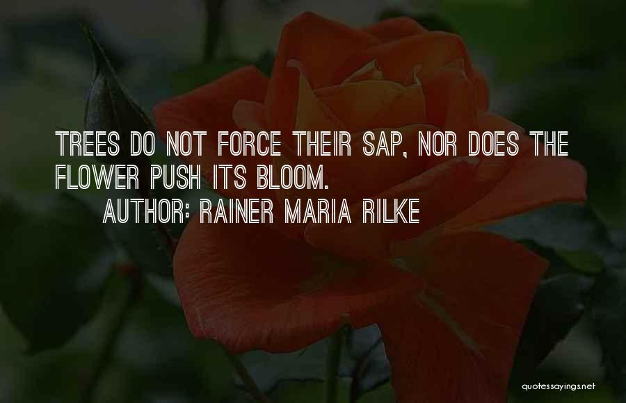 Sap Quotes By Rainer Maria Rilke