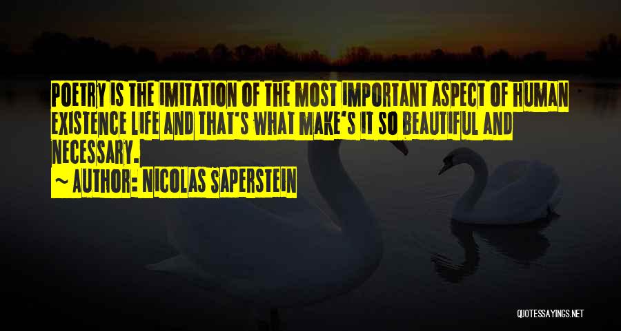 Saperstein Quotes By Nicolas Saperstein