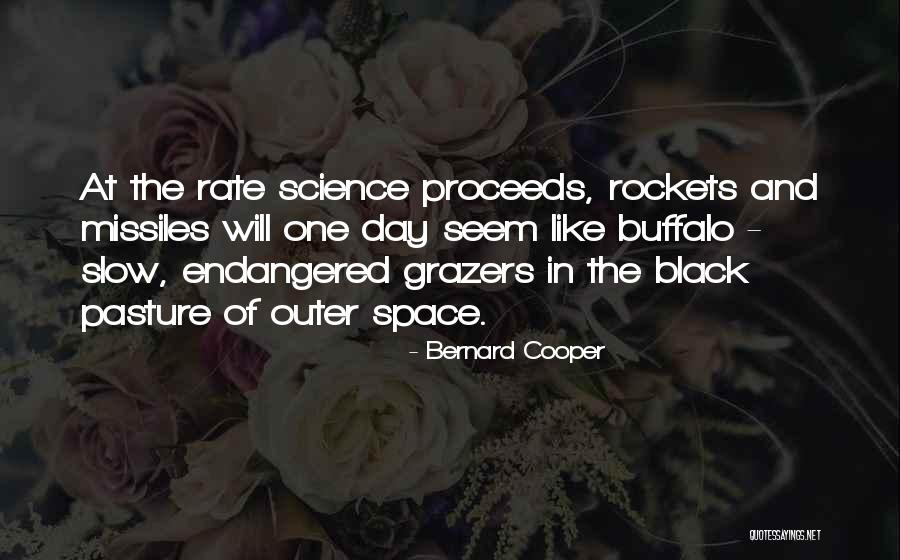 Sapkota And Associates Quotes By Bernard Cooper Sapkota And Associates Quotes By Bernard Cooper