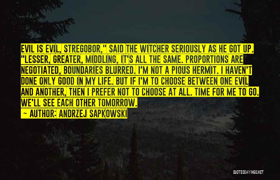 Sapkowski Witcher Quotes By Andrzej Sapkowski