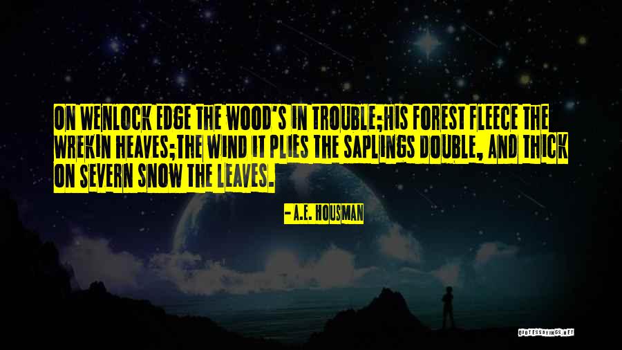 Saplings Quotes By A.E. Housman