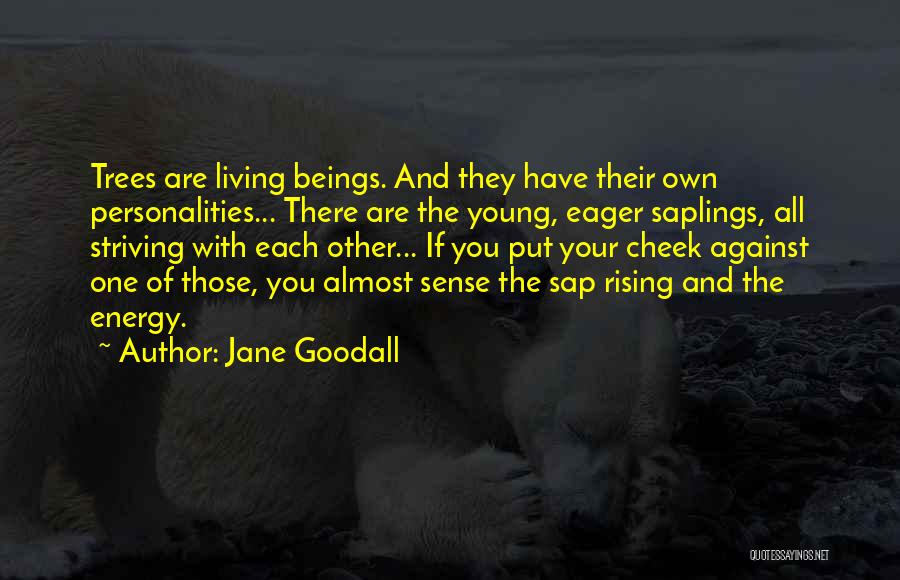 Saplings Quotes By Jane Goodall