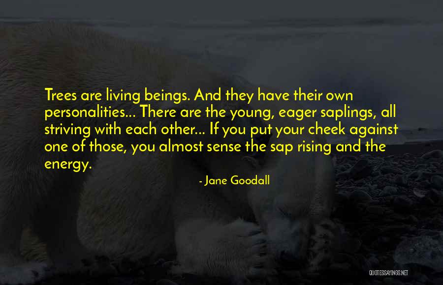 Saplings Quotes By Jane Goodall